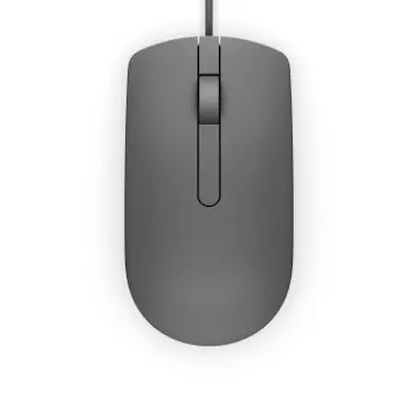 Dell DELL MS116 USB Óptico 1000DPI Ambidextro Gris rató Dell DELL MS116 USB Óptico 1000DPI Ambidextro Gris rató