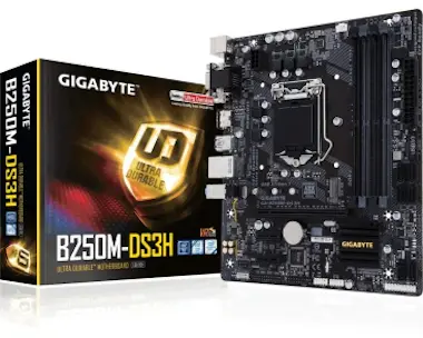 Gigabyte Gigabyte GA-B250M-DS3H Intel B250 LGA 1151 (Zócalo Gigabyte Gigabyte GA-B250M-DS3H Intel B250 LGA 1151 (Zócalo