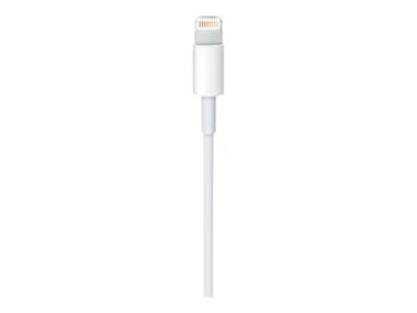 Apple Cable lightning a USB para iPhone 5/iPad/iPod