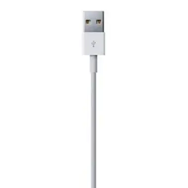 Apple Apple Lightning / USB 0.5m USB A Macho Macho Blanc Apple Apple Lightning / USB 0.5m USB A Macho Macho Blanc
