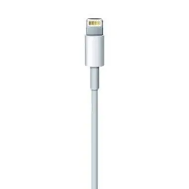 Apple Apple Lightning / USB 0.5m USB A Macho Macho Blanc Apple Apple Lightning / USB 0.5m USB A Macho Macho Blanc