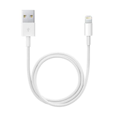 Apple Apple Lightning / USB 0.5m USB A Macho Macho Blanc