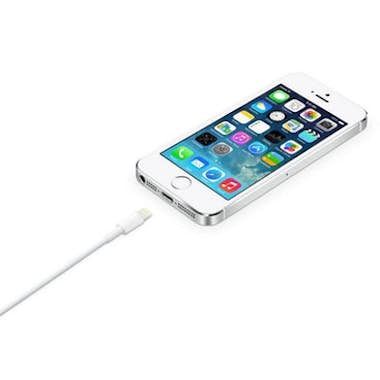 Apple Cable de conector Lightning a USB (2m)