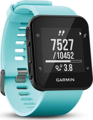 Garmin Garmin Forerunner 35 reloj deportivo Negro, Azul 1