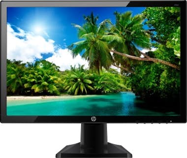 HP Monitor 19.5" 20kd