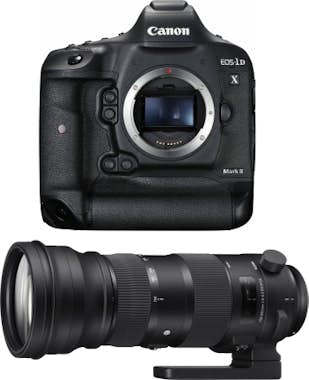 Canon Canon EOS 1D X Mark II + Sigma 150-600mm f/5.0-6.3