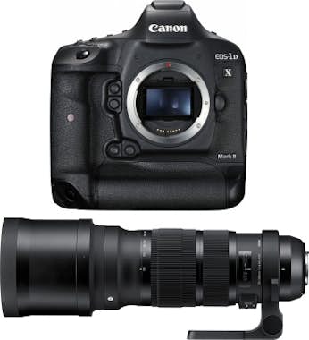Canon Canon EOS 1D X Mark II + Sigma 120-300mm f/2.8 DG
