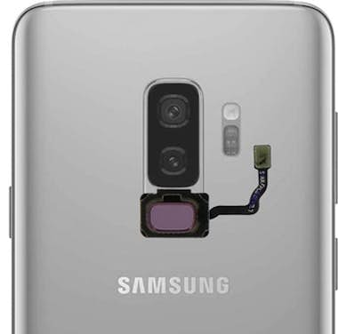 Avizar Botón HOME de inicio Samsung Galaxy S9 / S9 Plus c