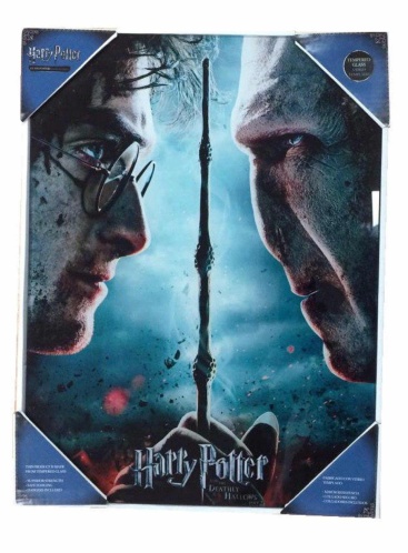 Vidrio Templado Harry potter contra voldemort sd toys poster y multicolor 41x31x3 cm paladone