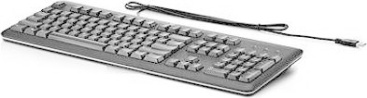 HP HP USB Standard Keyboard USB Negro, Plata