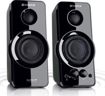 Woxter Big Bass 95 20W Negro altavoz