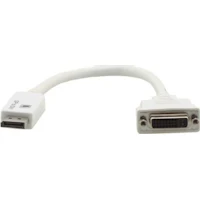Kramer Electronics DP - DVI-I 0.3m 0,3 m DisplayPort
