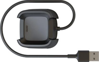 Fitbit Fitbit FB-166RCC Cable de carga Negro accesorio de