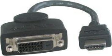 Lindy Lindy DVI-D FM/HDMI M Adapter Cable, 0.2m 0.2m DVI