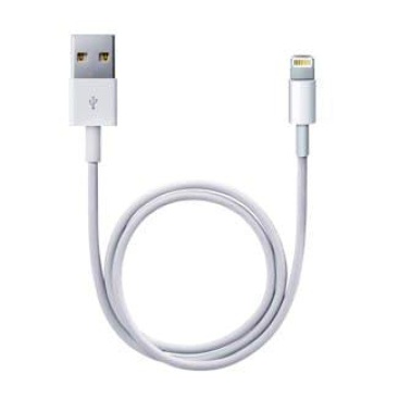 Apple Apple Lightning / USB 0.5m USB A Macho Macho Blanc