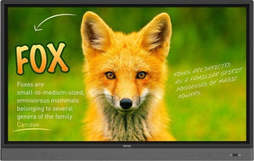 BenQ Rp653k Interactive Flat Panel