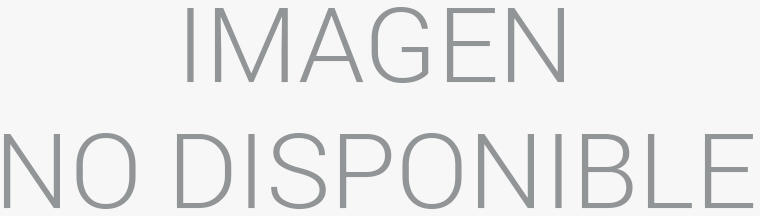 Engel Soporte Ac0593E Doble Brazo Orientable Articulado