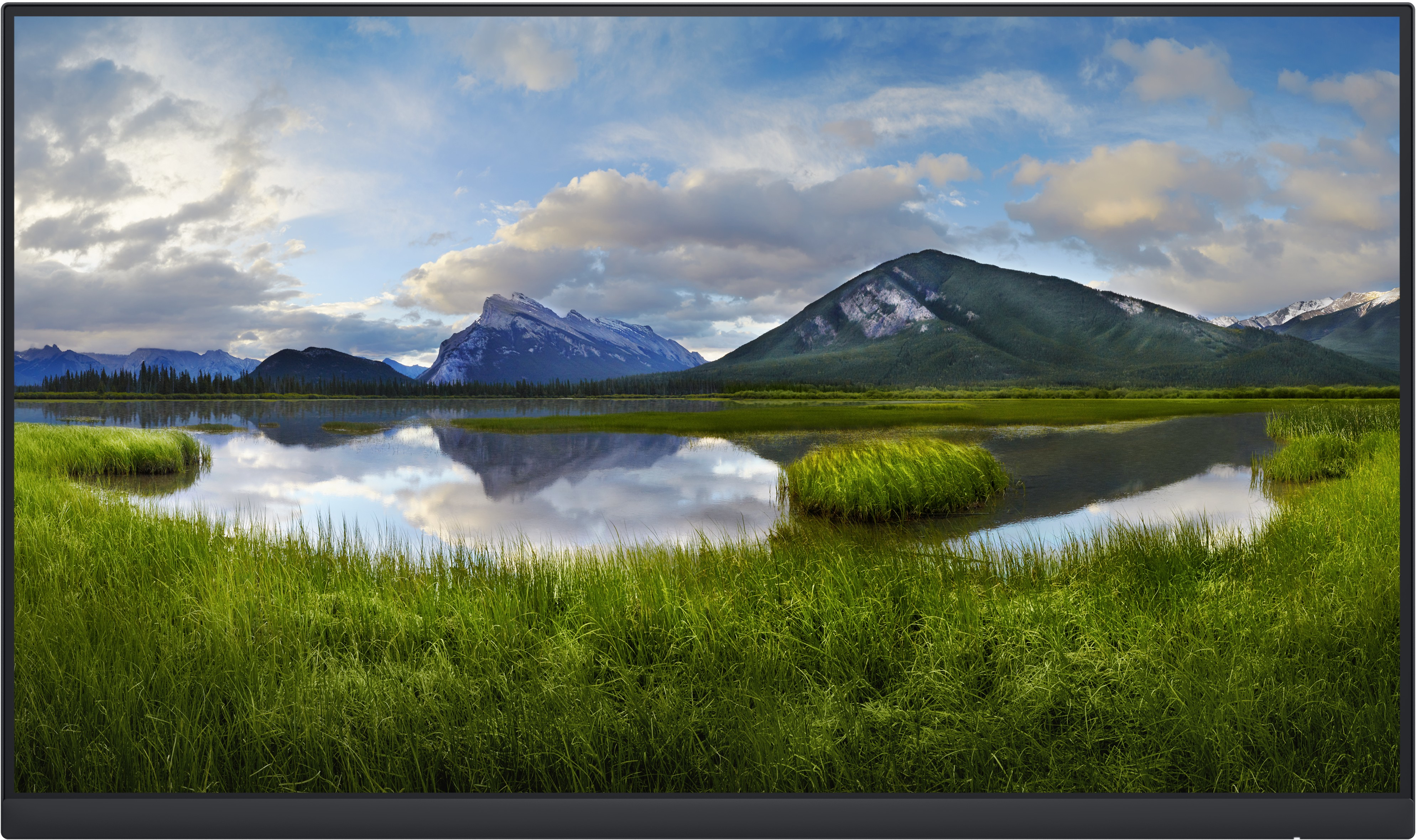 Dell DELL P2422H_WOST 60,5 cm (23.8"") 1920 x 1080 Pixe
