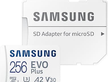 Samsung EVO Plus Tarjeta microSD 256GB (2021)