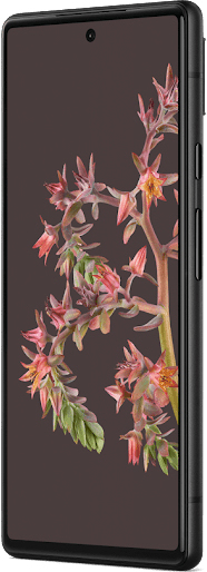 Google Pixel 6 16,3 cm (6.4 pulgadas pulgadas) SIM doble Android 12 5G USB Tipo C 8 GB 128 GB 4614 mAh Negro