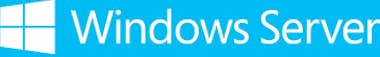 Microsoft Microsoft Windows Server 2019 Licencia de acceso d