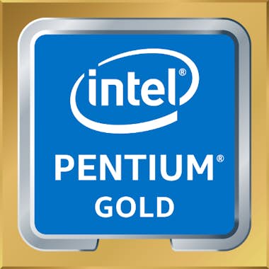 Intel Intel Pentium Gold G6600 procesador 4,2 GHz 4 MB S