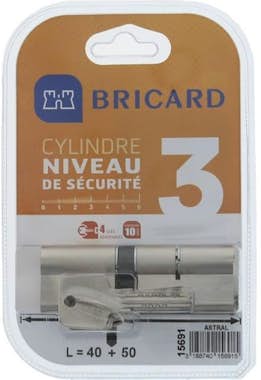 BRICARD ASTRAL 15691 Cilindro 40+50 mm doble entrada latón