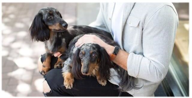 Mio Slice Monitor de actividad de aluminio anodizado c