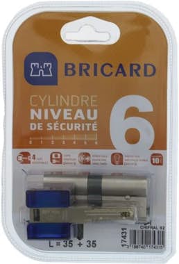 BRICARD CHIFRAL S2 17431 Cilindro 35+35 mm doble entrada n