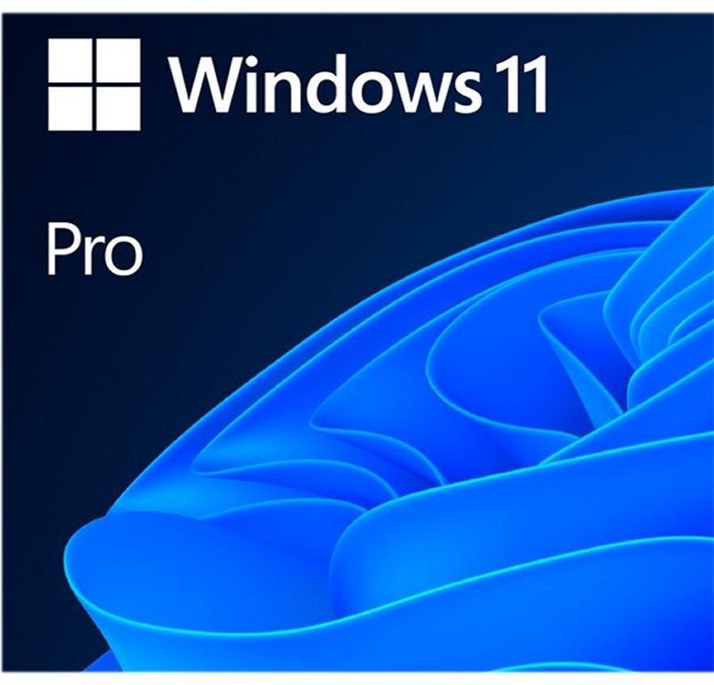 Microsoft Windows 11 Pro 64b ESD
