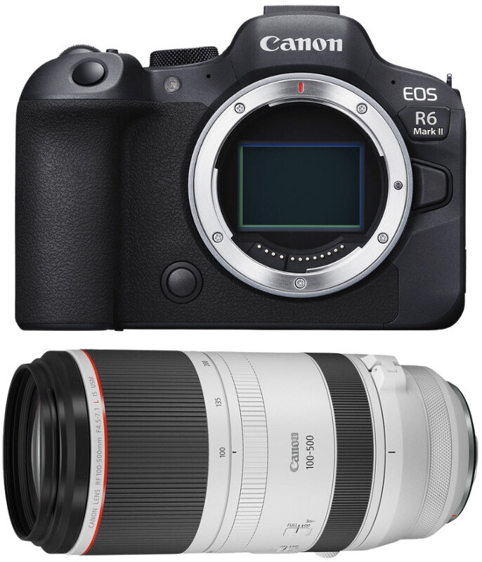 Canon EOS R6 Mark II ( R6II ) + RF 100-500mm f/4.5-7.1 L