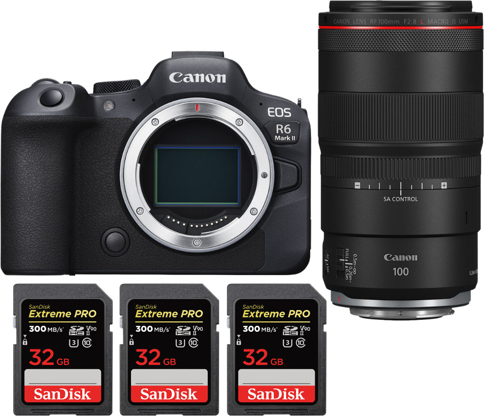 Canon EOS R6 Mark II ( R6II ) + RF 100mm f/2.8 L Macro I