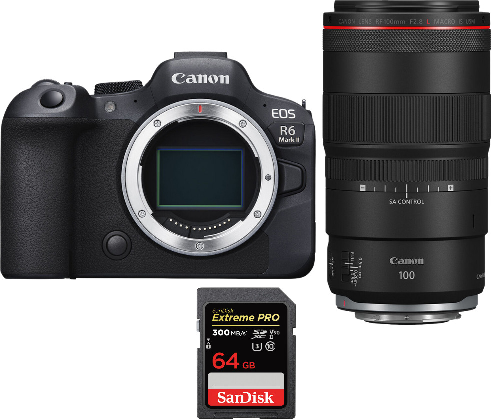 Canon EOS R6 Mark II ( R6II ) + RF 100mm f/2.8 L Macro I