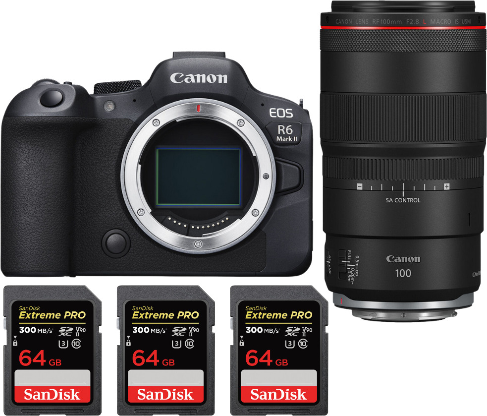 Canon EOS R6 Mark II ( R6II ) + RF 100mm f/2.8 L Macro I
