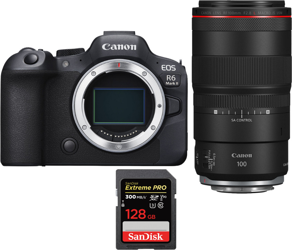 Canon EOS R6 Mark II ( R6II ) + RF 100mm f/2.8 L Macro I