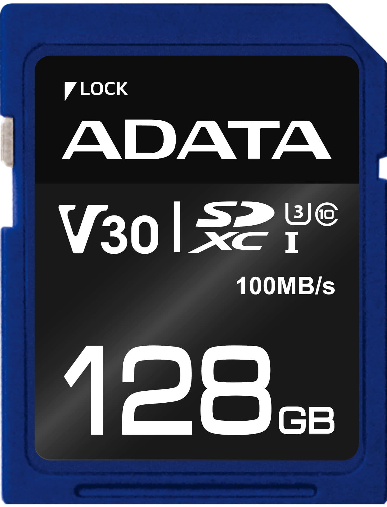 Adata ASDX128GUI3V30S-R Memoria Flash