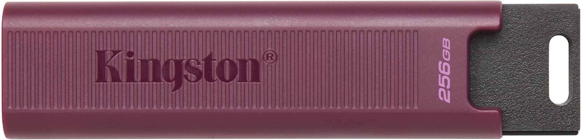 Kingston Kingston Technology DataTraveler Max unidad flash