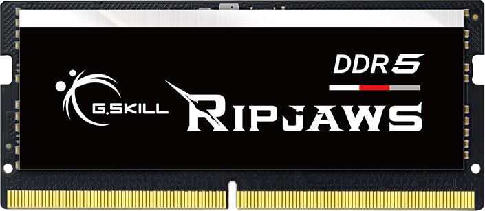 G.Skill G.Skill Ripjaws F5-4800S4039A16GX1-RS módulo de me