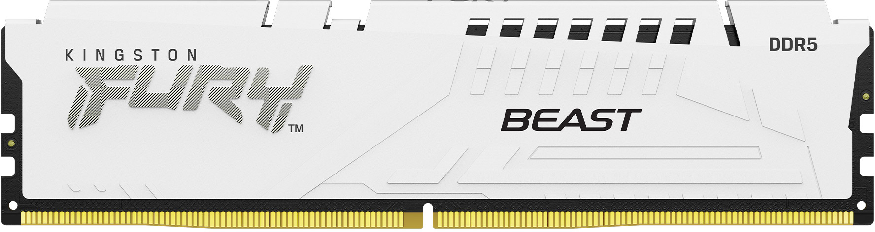 Kingston Kingston Technology FURY Beast módulo de memoria 6