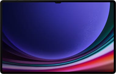 Samsung Samsung Galaxy Tab S9 Ultra SM-X910N 256 GB 37,1 c