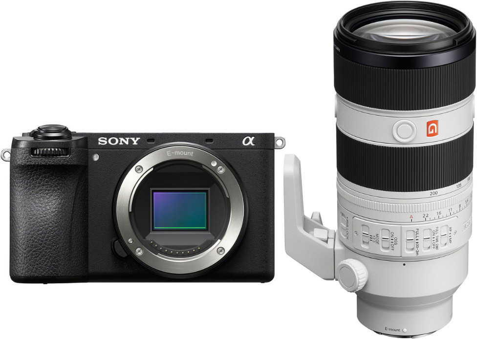 Sony A6700 + FE 70-200mm f/2.8 GM OSS II + PDF MCZ DIRE