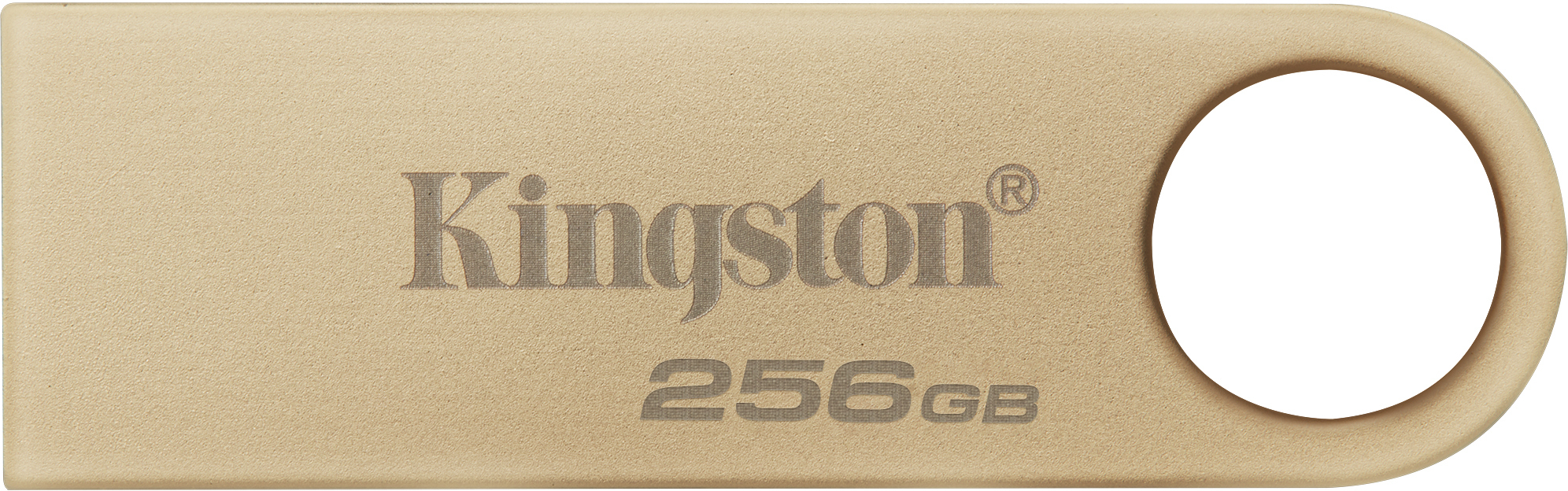 Kingston Kingston Technology DataTraveler SE9 G3 unidad fla