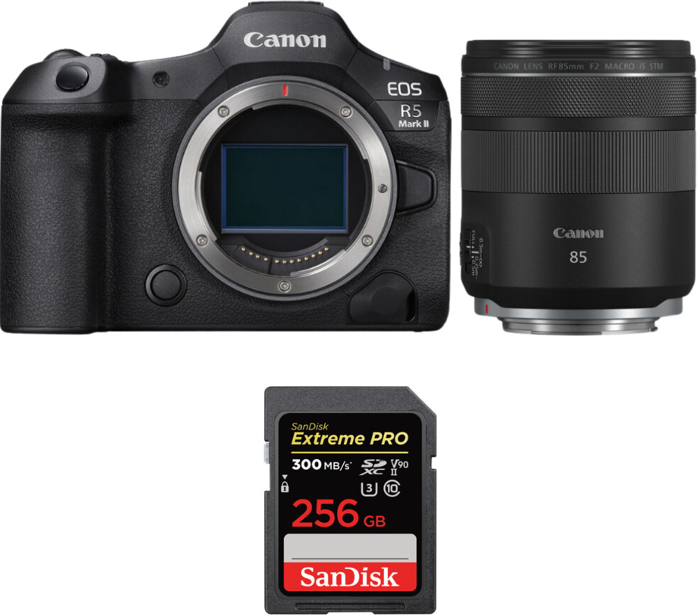 Canon EOS R5 Mark II + RF 85mm f/2 Macro IS STM + 1 SanD