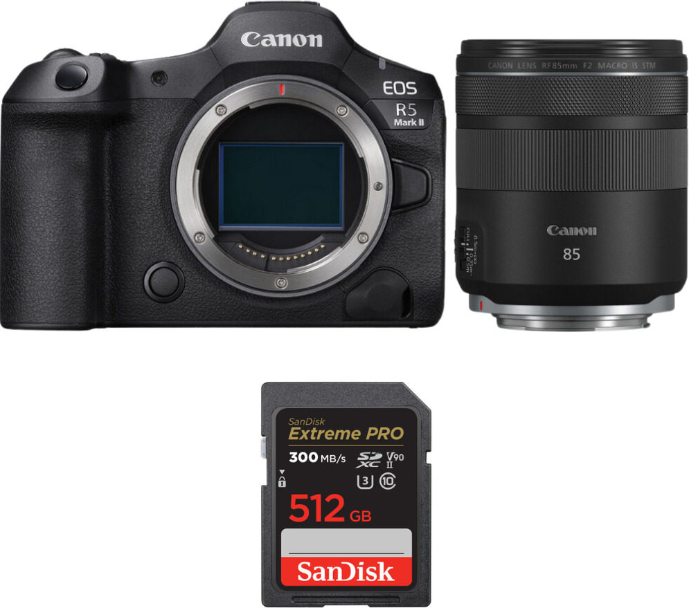 Canon EOS R5 Mark II + RF 85mm f/2 Macro IS STM + 1 SanD