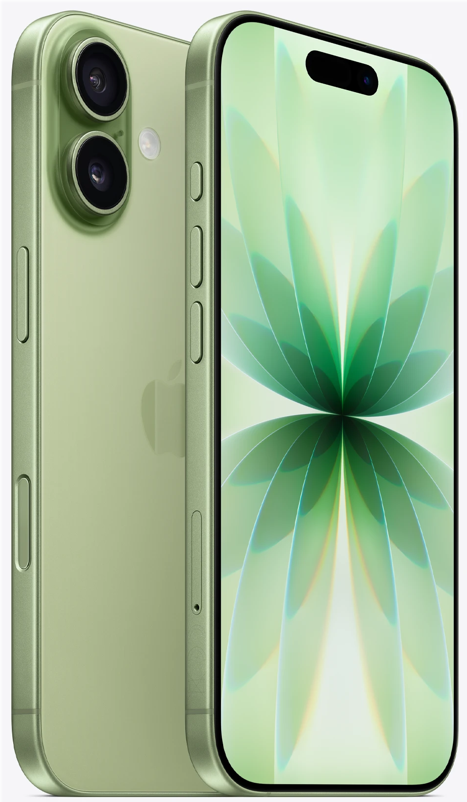 Apple iPhone 17 256GB