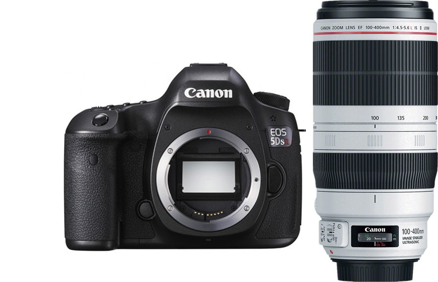 Canon CANON EOS 5DSR + EF 100-400mm F4.5-5.6L IS II USM