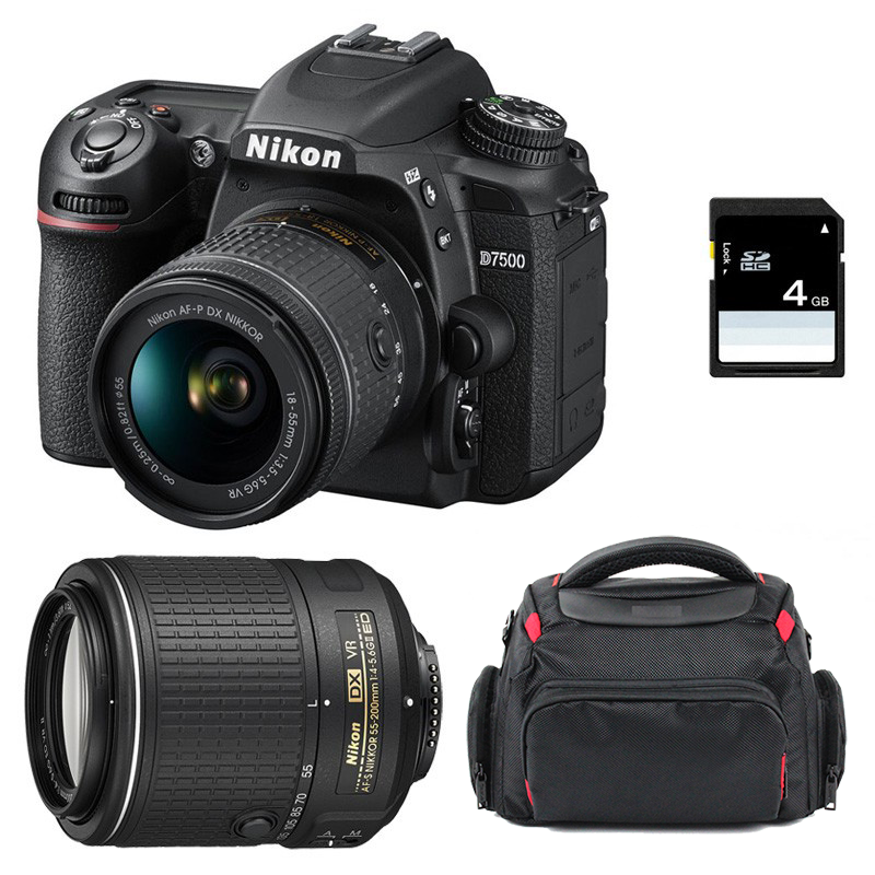 Nikon D7500 + AF-P DX NIKKOR 18-55 mm f/3.5-5.6G VR + AF