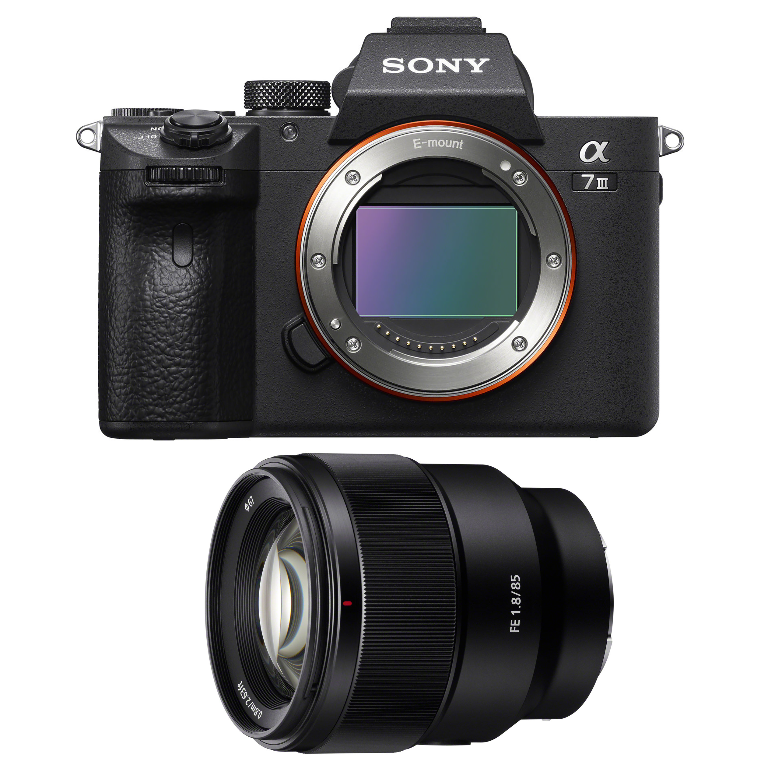 Sony Alpha 7 III + FE 85mm F1.8