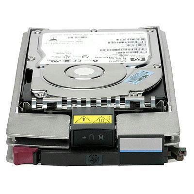 HP HP 300GB 10000rpm FC-AL Fibre Channel
