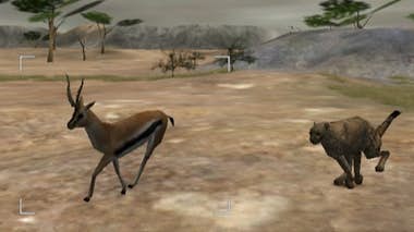 Generica Majesco Wild Earth: African Safari, Wii, ITA vídeo